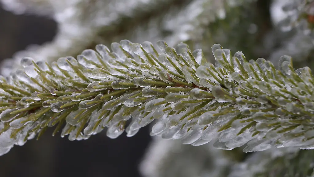 Der-Schnee-ist-zumindest-voruebergehend-wieder-zurueck-auch-hier-im-Harz