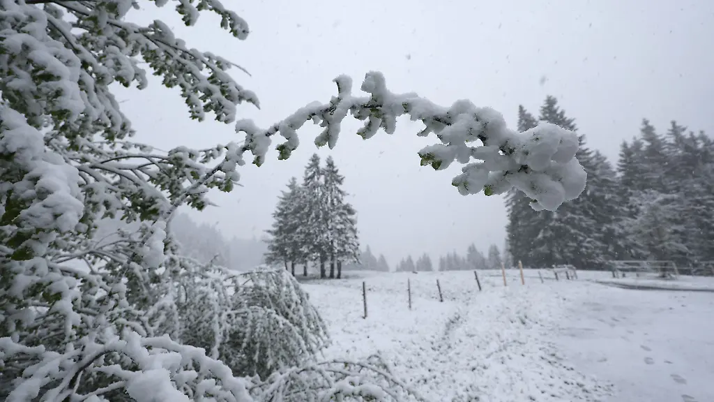 In-hoeheren-Lagen-koennten-laut-dem-DWD-einige-Zentimeter-Neuschnee-fallen