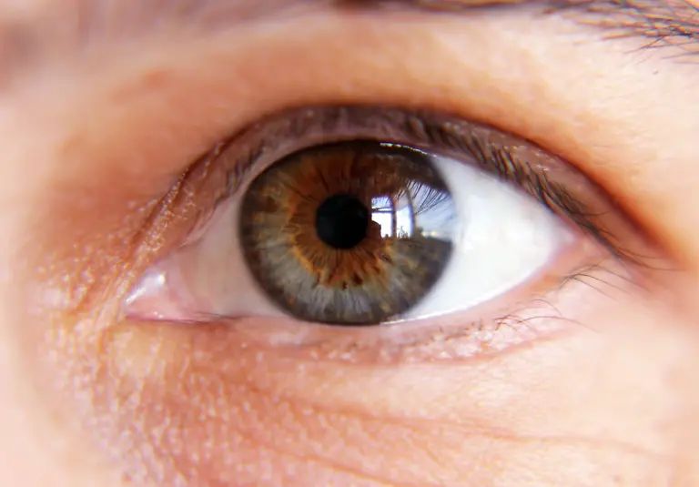 Brown-female-eye-close-up-Brown-beauty-female-eye-close-up-without-makeup-model-released-Symbolfoto-Copyright-xZoonar