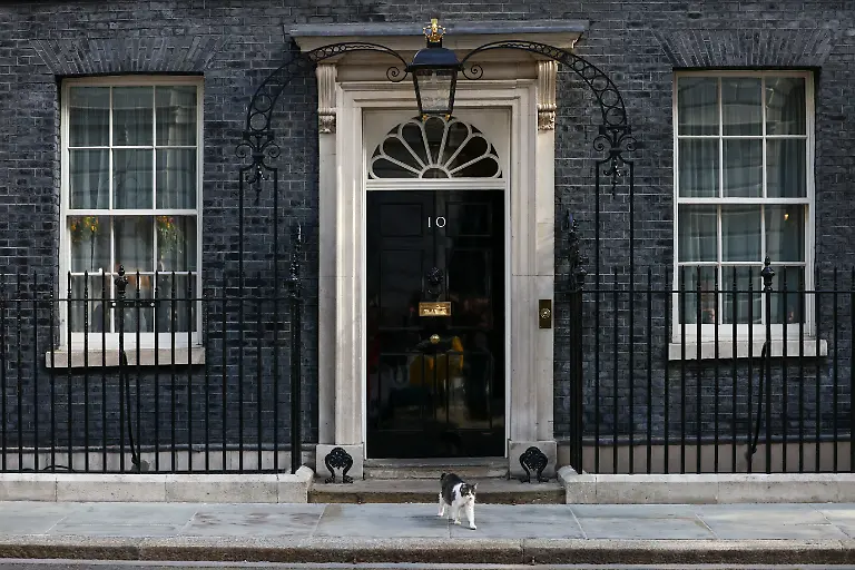 Larry-the-cat-walks-outside-No-10-Downing-Street-ahead-of-a-British-cabinet-meeting-the-day-before-the-State-Opening-of-Parliament-in-London-Britain-May-12-2026
