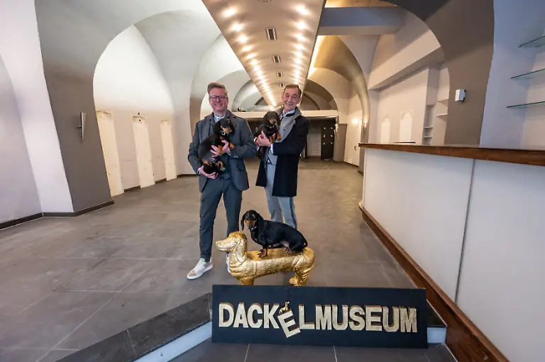 Seppi-Kueblbeck-r-und-Oliver-Storz-stehen-mit-ihren-drei-Dackeln-im-zukuenftigen-Dackelmuseum-Das-Passauer-Dackelmuseum-zieht-um-nach-Regensburg-Anstoss-fuer-den-Umzug-war-ein-Streit-mit-der-Passauer-Stadtverwaltung-im-vergangenen-Sommer-der-sich-an-einem-vor-dem-Museum-aufgestellten-Sonnenschirm-samt-Sitzgruppe-entzuendet-hatte-Statt-bislang-2500-Dackel-Exponaten-sollen-in-der-Ausstellung-kuenftig-5000-zu-sehen-sein