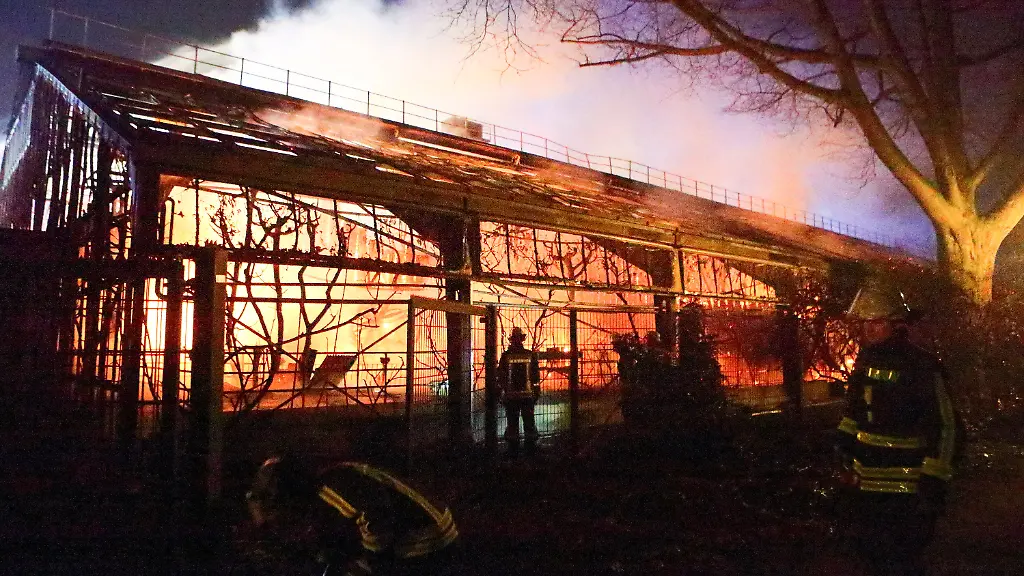 f5788849774620dc3b3fe195a8579cbe