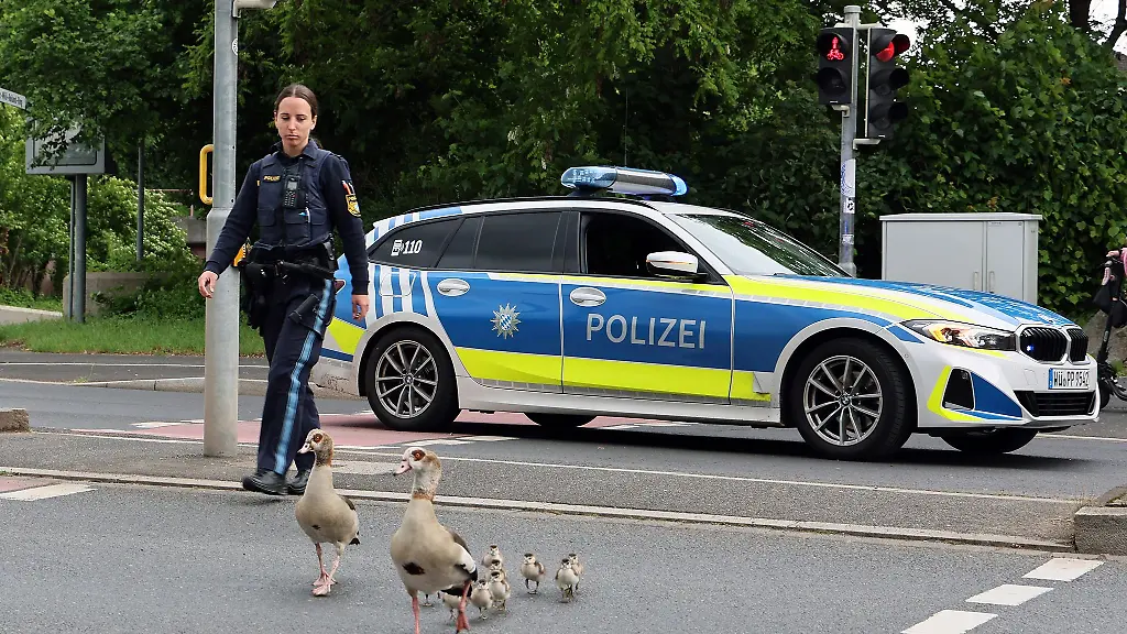 Bis-zum-Aschaffenburger-Mainufer-begleiteten-die-Beamten-die-Gaense