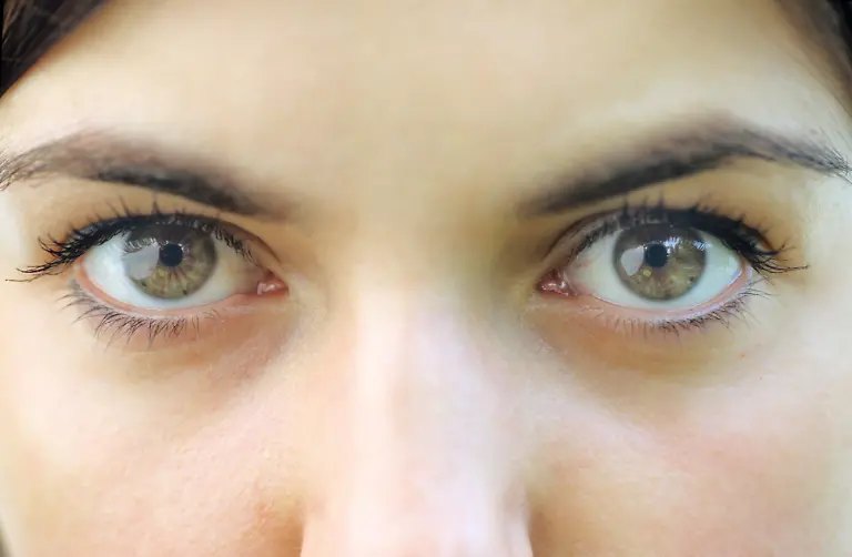 Augen-Modellfreigabe-vorhanden