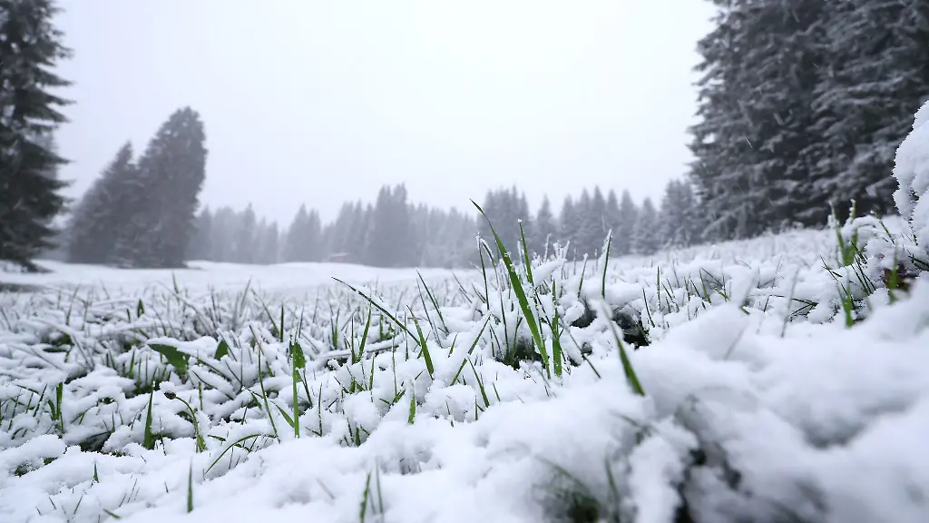 In-hoeheren-Lagen-ist-noch-einmal-Neuschnee-gefallen-Und-es-bleibt-weiter-kuehl