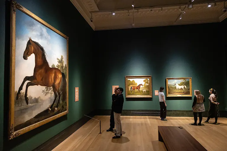 George-Stubbs-Portrait-of-a-Horse-at-the-National-Gallery-in-London-UK-on-10-March-2026-The-exhibition-explores-the-work-of-the-celebrated-18th-century-British-painter-George-Stubbs-best-known-for-his-detailed-and-anatomically-precise-paintings-of-horses
