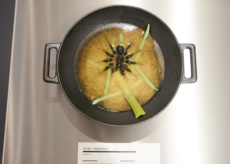 Eine-Tarantula-liegt-in-einer-Suppe-im-Disgusting-Food-Museum-Berlin-dem-Museum-gegen-den-guten-Geschmack-Das-vielleicht-ekligste-Museum-zeigt-in-Berlin-was-Mensch-alles-essen-kann-wenn-ihm-der-Appetit-nicht-vergeht