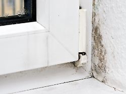 Mit 70 Prozentigem Ethylalkohol Soll Sich Kleinflaechiger Schimmelpilz In Der Wohnung Beseitigen Lassen