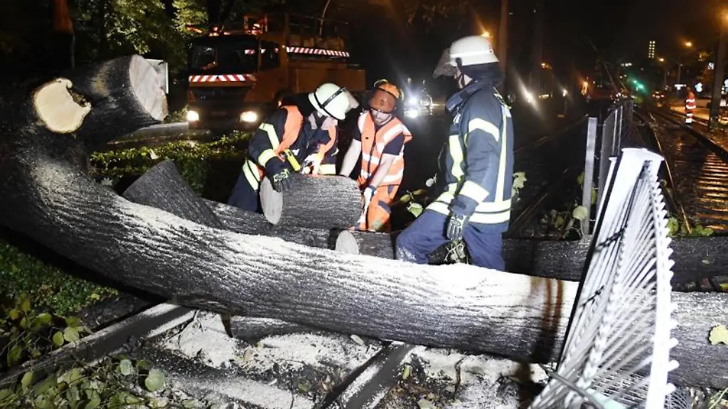 Feuerleute-beseitigen-einen-Baum-der-bei-dem-Unwetter-auf-Strassenbahn-Gleise-gefallen-ist