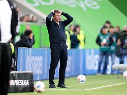 Vogelwilder Abstiegskampf: Hecking: 