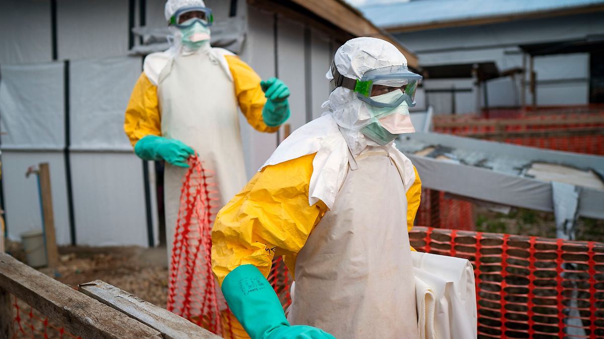 Neuer Ausbruch mit Toten: Behörden im Kongo weisen seltene Ebola-Variante nach