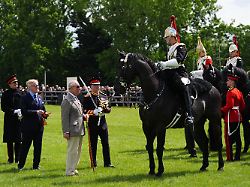 Aufruf an Öffentlichkeit: König 