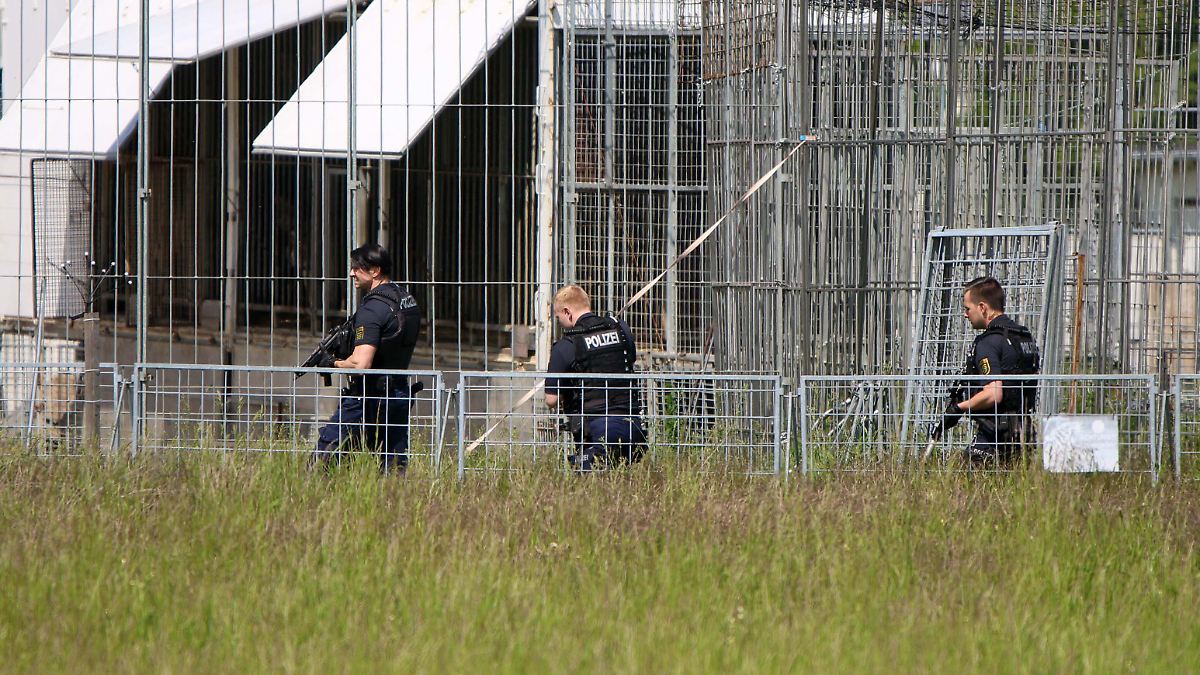 Polizei erschießt Tier : Tiger greift Mann an und entkommt nahe Leipzig