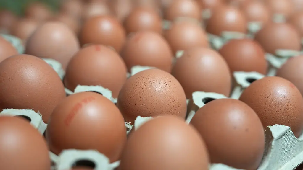 Um-fast-14-Prozent-haben-sich-Eier-in-Hessen-im-April-im-Vergleich-zum-Vorjahresmonat-verteuert