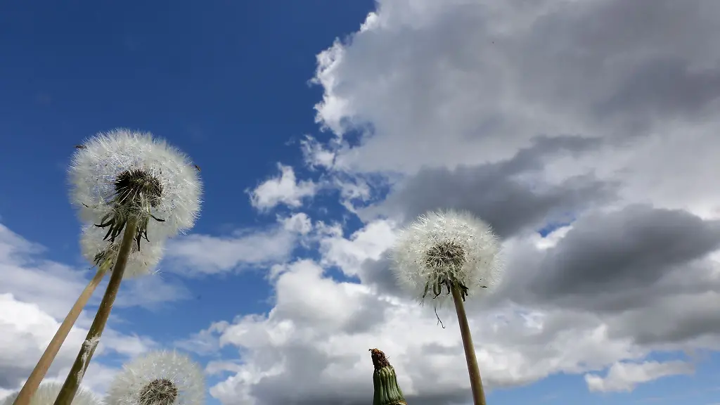 Am-Dienstag-erwartet-Bayern-vielerorts-ein-Sonne-Wolken-Mix