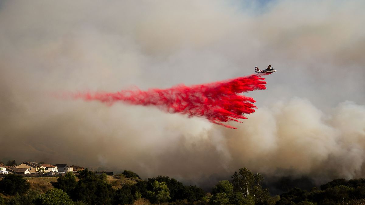 Bereits 557 Hektar zerstört: Waldbrand bedroht Vororte von Los Angeles