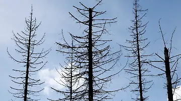 595668572