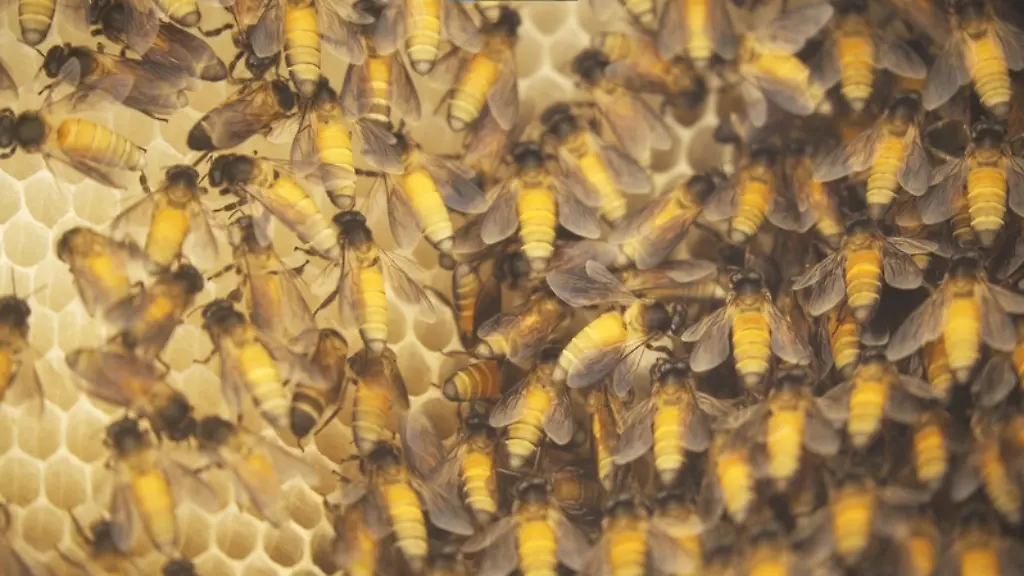 ACHTUNG-Frei-nur-im-Zusammenhang-mit-der-Berichterstattung-ueber-die-Studie