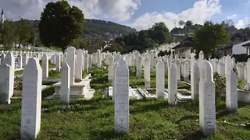 514623254