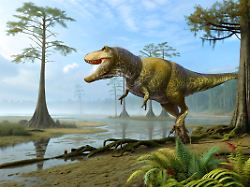 Tyrannosaurus Rex Dinosaur Hunting The Prehistoric Wetlands