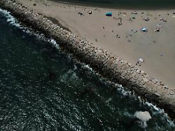 "Hunderte versuchten zu fliehen": Messerstecherei führt zu Massenpanik an US-Strand