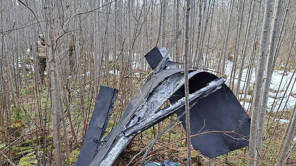 Truemmerteile-haengen-an-der-Absturzstelle-einer-Drohne-in-der-Vegetation-in-der-Naehe-von-Kraslava-In-Estland-und-Lettland-sind-aus-Russland-in-den-Luftraum-eingeflogene-Drohnen-abgestuerzt-Dabei-handelte-es-sich-nach-Angaben-der-Regierungen-in-Tallinn-und-Riga-wohl-um-fehlgeleitete-ukrainische-Flugobjekte-mit-denen-Kiew-russische-Ziele-am-Finnischen-Meerbusen-angriff