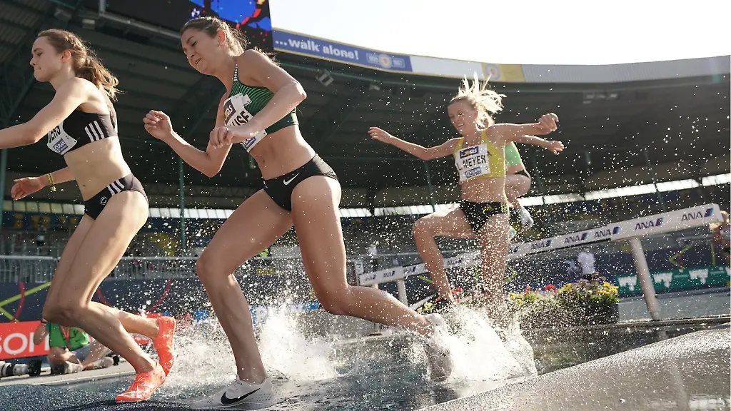 bec4ad8af4a149e374fbe5dee5e1e929