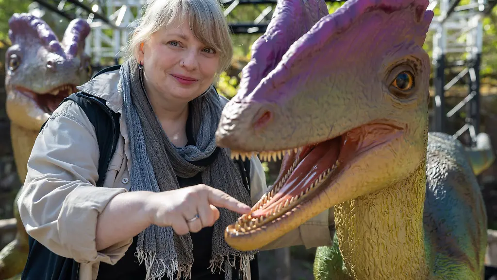 Dino-Knochen-Kriegsschiffe-und-Goldschaetze-machen-das-Bundesland-zu-einer-archaeologischen-Schatzkammer
