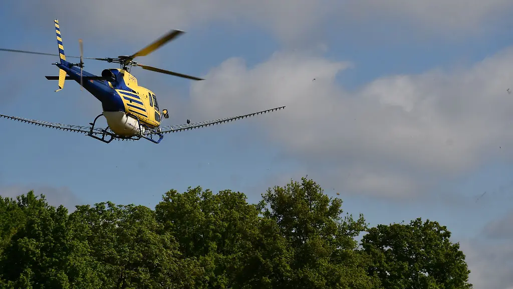 Im-Landkreis-Prignitz-hebt-ein-Hubschrauber-mit-Spritzmittel-im-Einsatz-gegen-den-Eichenprozessionsspinner-ab