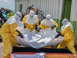 Ebola-Ausbruch in Kongo: Die Suche nach 