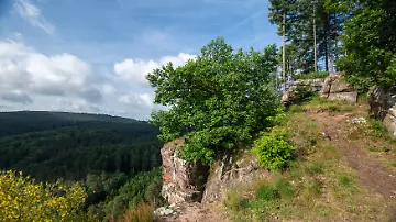596147534