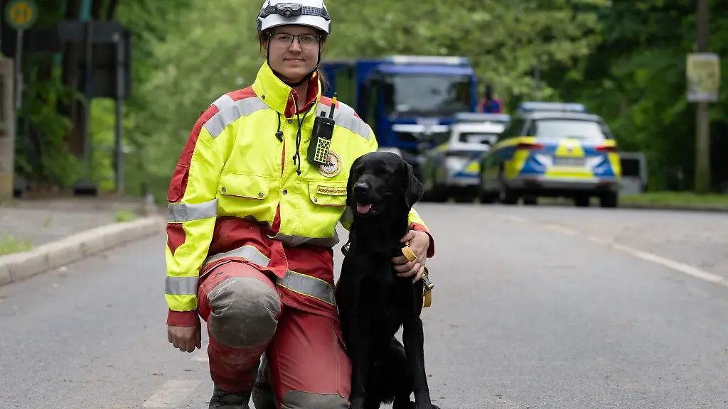 Suchhund-Capper-schnuppert-gegen-die-Zeit-im-Truemmerfeld