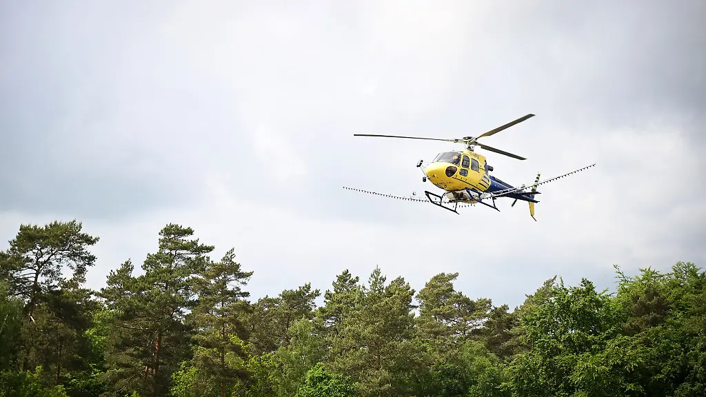 Auf-einer-Flaeche-von-etwa-405-Hektar-soll-das-Insektizid-versprueht-werden
