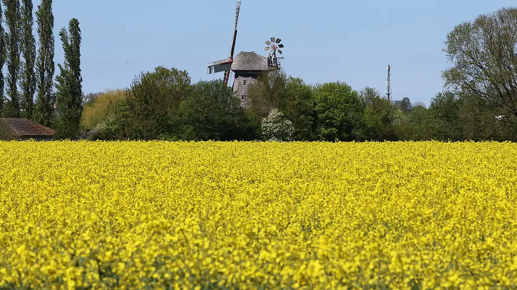 Das-lange-Wochenende-verspricht-Sommerwetter-im-Norden