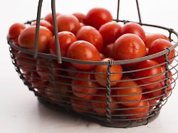 Kirschtomaten Im Korb Cherry Tomatoes In Basket Copyright ImageBROKER JoannaxWnuk Ibxiqx12536113