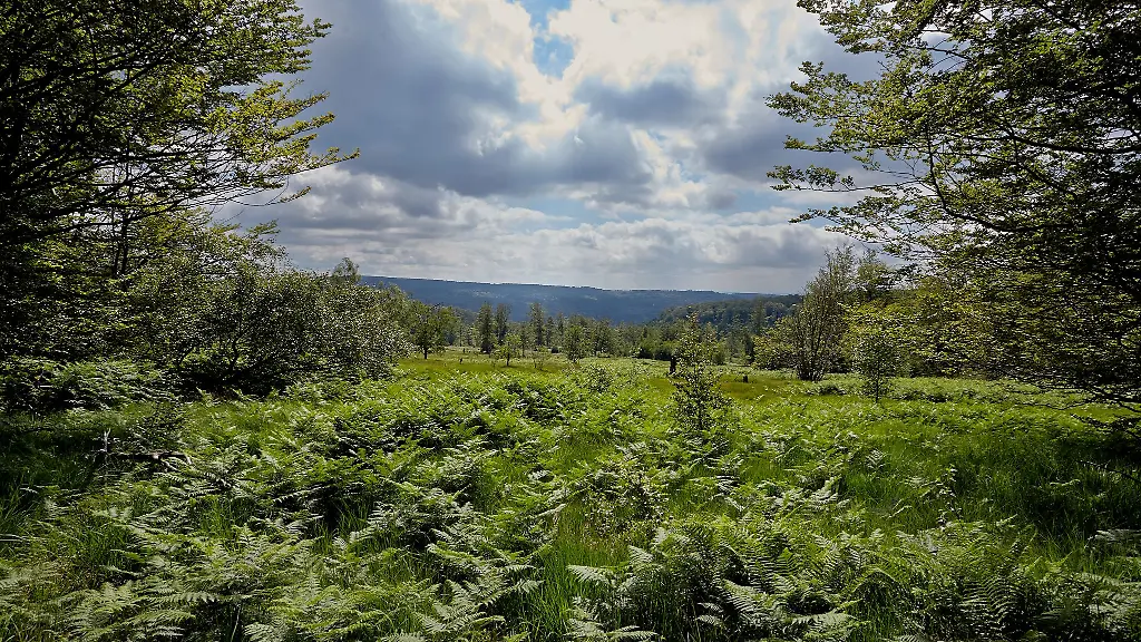 Der-Nationalpark-wurde-vor-elf-Jahre-eroeffnet-Archivbild