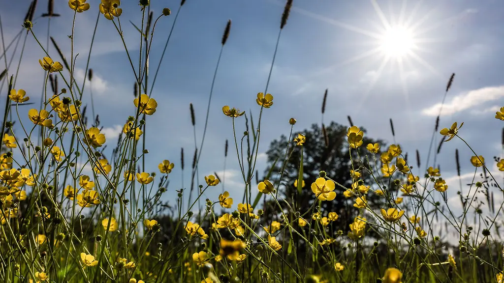In-Berlin-und-Brandenburg-werden-am-Wochenende-die-30-Grad-erreicht