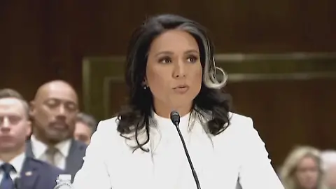 Tulsi Gabbard