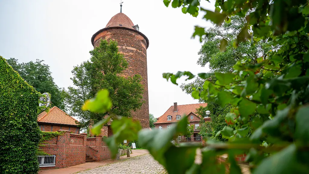 Blick-auf-den-Waldemarturm