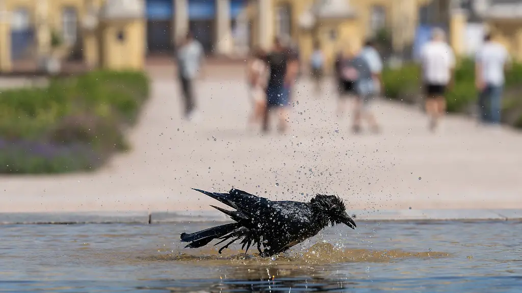 Ein-Besuch-im-Schwimmbad-oder-am-Badesee-lohnt-sich