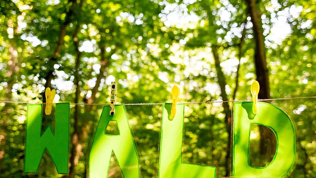 Im-Forstamt-Heldburg-gilt-derzeit-die-Waldbrandgefahrenstufe-vier