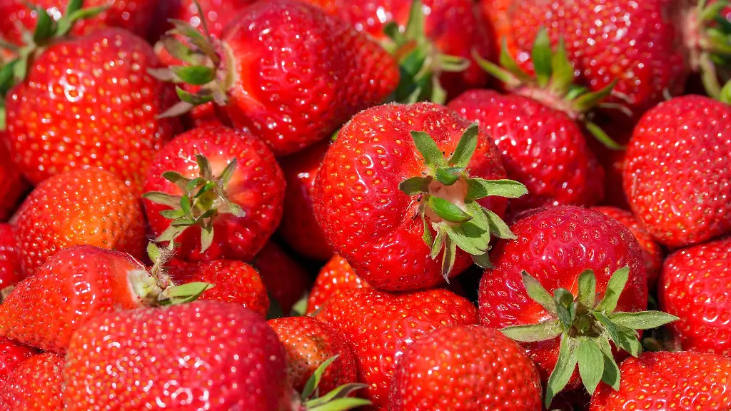 Erdbeeren-verschwunden-Was-wollen-die-Diebe-gleich-mit-mehreren-Kisten-und-warum-blieb-ein-Teil-der-begehrten-Fruechte-auf-einem-Parkplatz-zurueck-Symbolbild