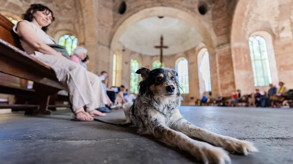 In-der-Parochialkirche-wurde-zum-Tiersegnungsgottesdienst-geladen