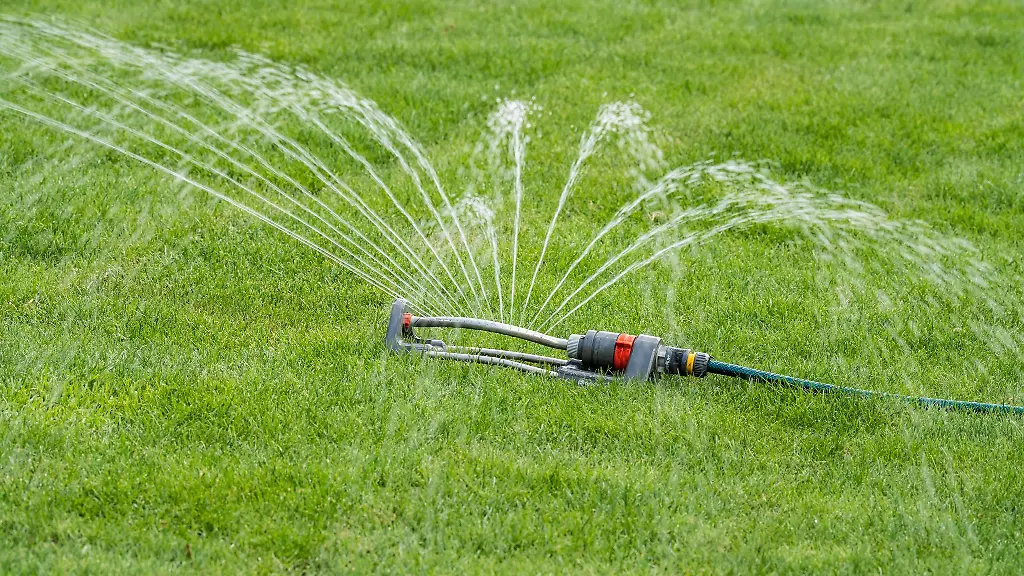 Die-Stadtwerke-rufen-die-Buerger-zum-Wassersparen-auf-Auf-das-Bewaessern-von-Rasen-solle-verzichtet-werden