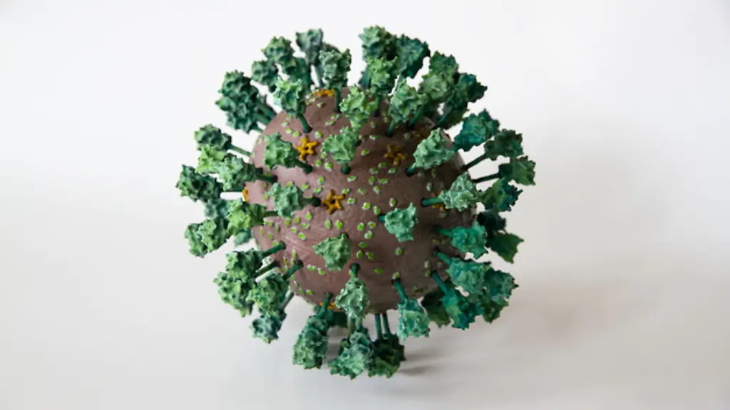 3D-Coronavirus-beschnitten