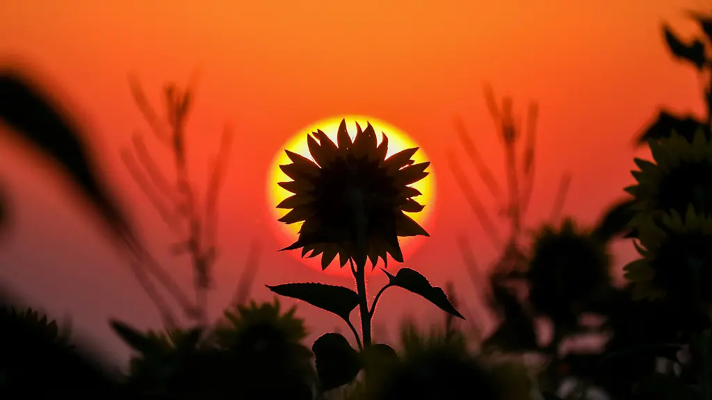 db082636bb15b5dfa65ed05a1de0e397