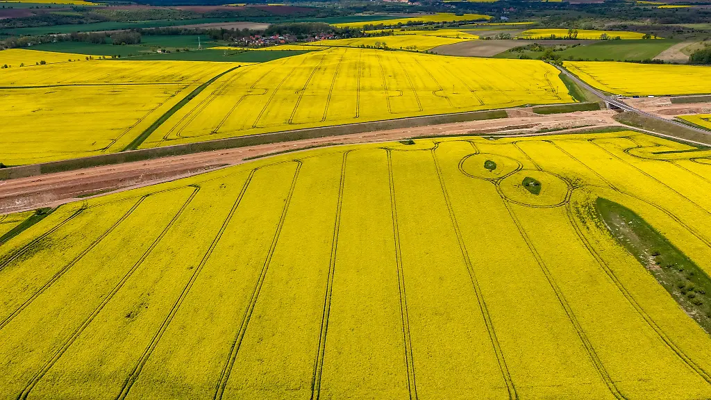 Raps-und-Getreidefelder-in-Sachsen-Anhalt-Die-Landwirte-im-Land-haben-ihre-Anbauflaechen-fuer-einige-Kulturen-2026-ausgeweitet