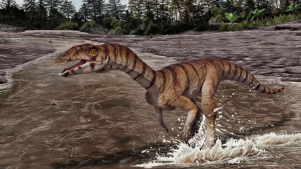 IMAGE 1 Labrujasuchus expectatus (artwork by Jorge Gonzalez) (1)