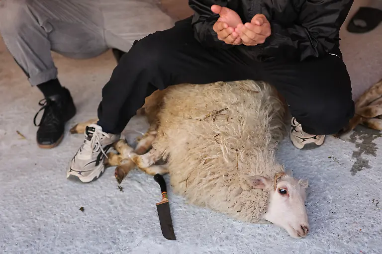 RUSSIA-KAZAN-JUNE-6-2025-Muslim-men-sacrifice-Qurbani-sheep-near-Kazan-s-Al-Marjani-Mosque-at-the-start-of-Eid-al-Adha-or-Kurban-Bairam-feast-of-the-sacrifice