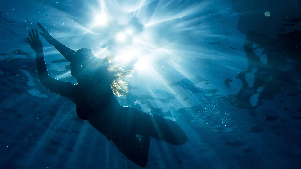 d0040c540372c0cd2545b25382eead02